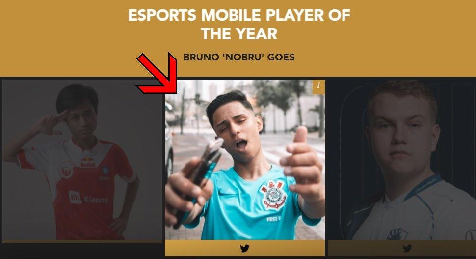 bruno nobru  Goes melhor jogador de free fire do mundo #freefire #